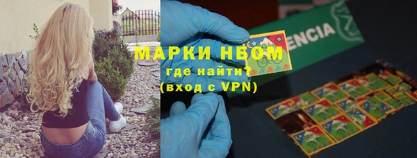 сатива Алексеевка