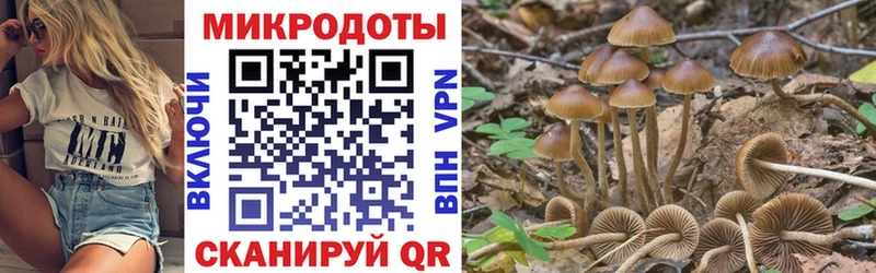 где можно купить наркотик  это какой сайт  hydra вход  Галлюциногенные грибы MAGIC MUSHROOMS  Мамоново 